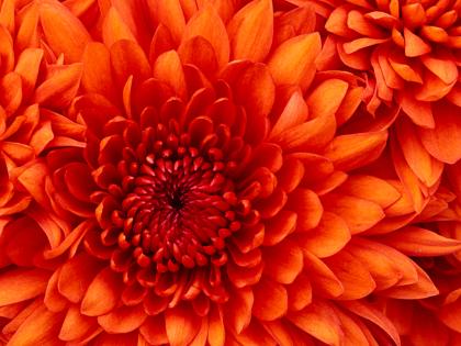 Neuer TREND - Job PC - / Bürotätigkeit selbst. von zu Hause . Heimarbeit Nebe