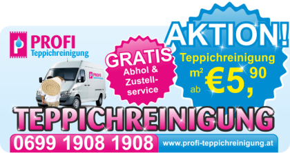 SO GÜNSTIG WIE NOCH NIE Teppichreinigung um 5 90