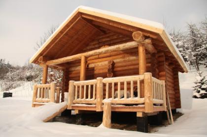 Investor für eine Wellnessoase. Saunadorf. Saunadorf. www. blockhaus-koch. de
